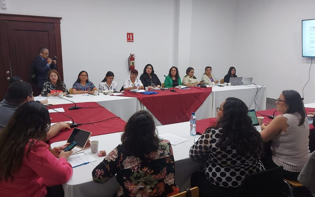 Mesa Interinstitucional sobre Mujeres, Paz y Seguridad (Mimpaz)
