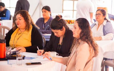 Seprem participó en la reunión ordinaria del Sistema Nacional de Información sobre Violencia contra la Mujer (SNIVCM)