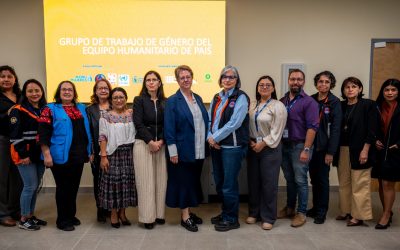 Secretaria participó en el Grupo de Trabajo de Género del Equipo Humanitario de País