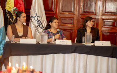 Seprem impulsa incorporación de enfoques de equidad y pueblos indígenas en la generación de estadísticas oficiales