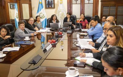 SEPREM impulsa propuestas de reforma a licencias laborales para garantizar derechos de maternidad, paternidad, cuidados y adopción