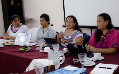 Fortaleciendo acciones interinstitucionales por los derechos de las mujeres rurales e indígenas