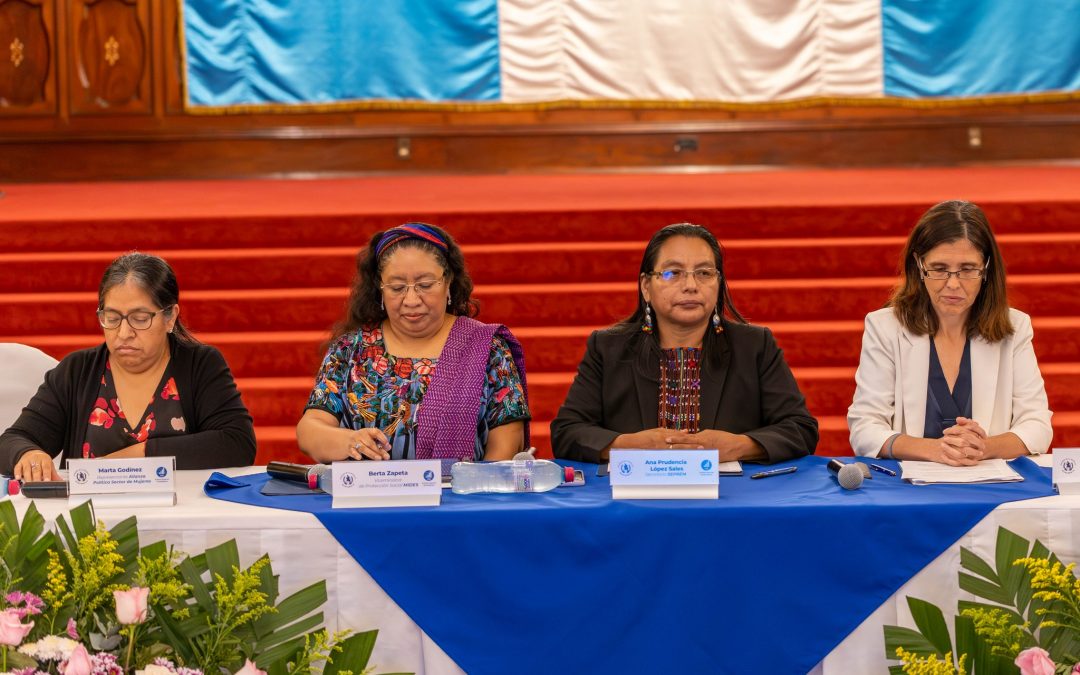 Secretaria Presidencial de la Mujer participa en foro del Día Internacional de los Cuidados y el Apoyo