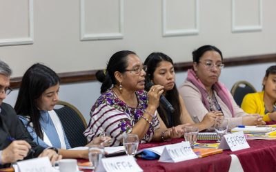 SEPREM participa en diálogo nacional sobre derechos de juventudes indígenas
