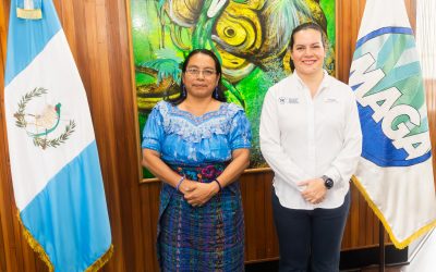 Avanza coordinación interinstitucional para la actualización de la PNPDIM 2026-2041