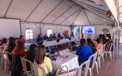 SEPREM coordina con delegadas departamentales la hoja de ruta 2026 para fortalecer el trabajo territorial a favor de las mujeres
