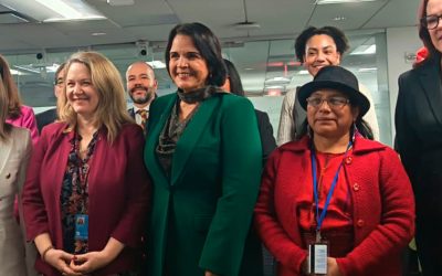SEPREM participa en conmemoración internacional por el centenario de Minerva Mirabal en ONU Mujeres