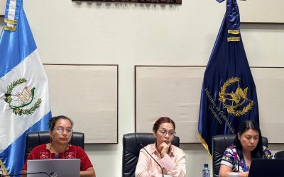 Secretaría Presidencial de la Mujer presenta avances del Plan Nacional de Desarrollo en reunión de Comisión