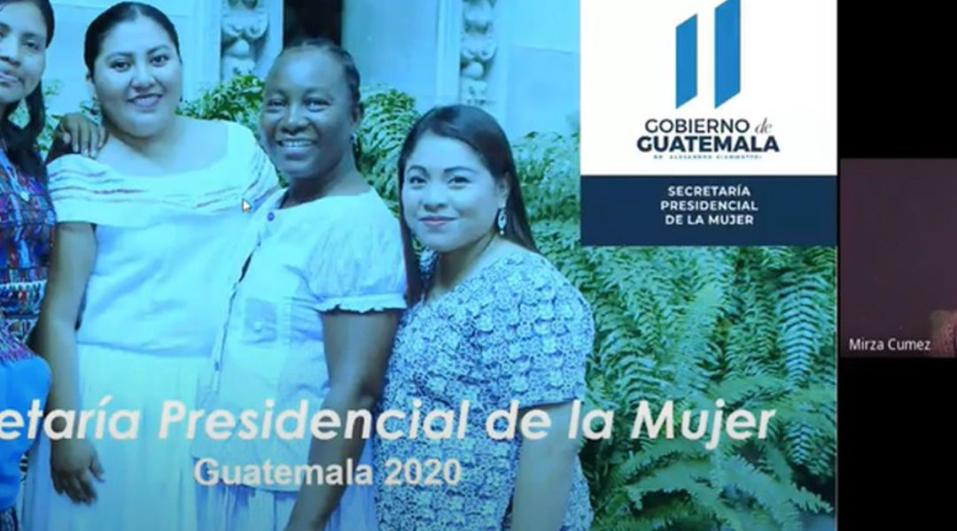 Asistencia técnica virtual al Instituto Nacional de Estadística -INE-.