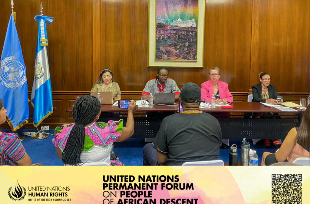 Evento paralelo en el marco de la Segunda Sesión del Foro Permanente de los Afrodescendientes